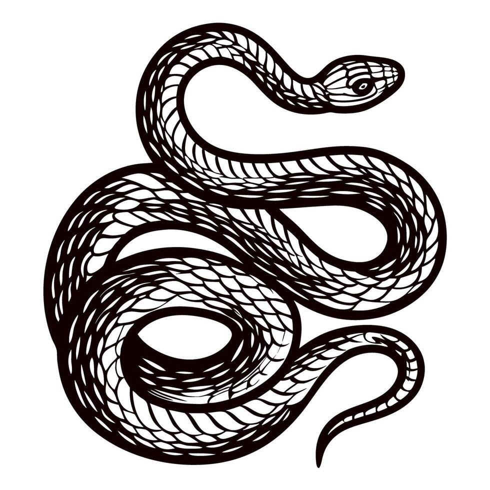 Intricate black and white line art of a coiled snake with detailed scales vector