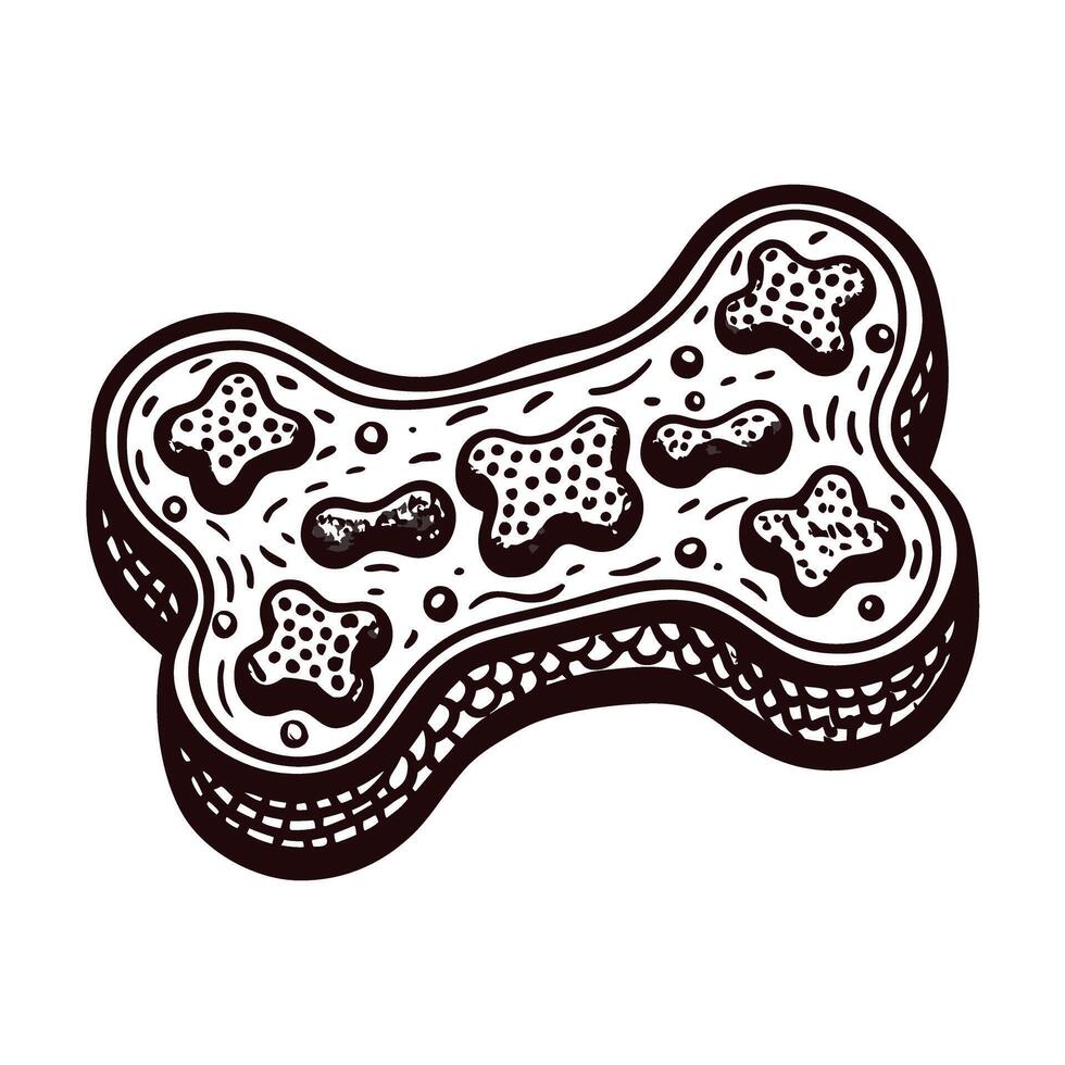 Detailed of a bone shaped dog biscuit with smaller treats vector