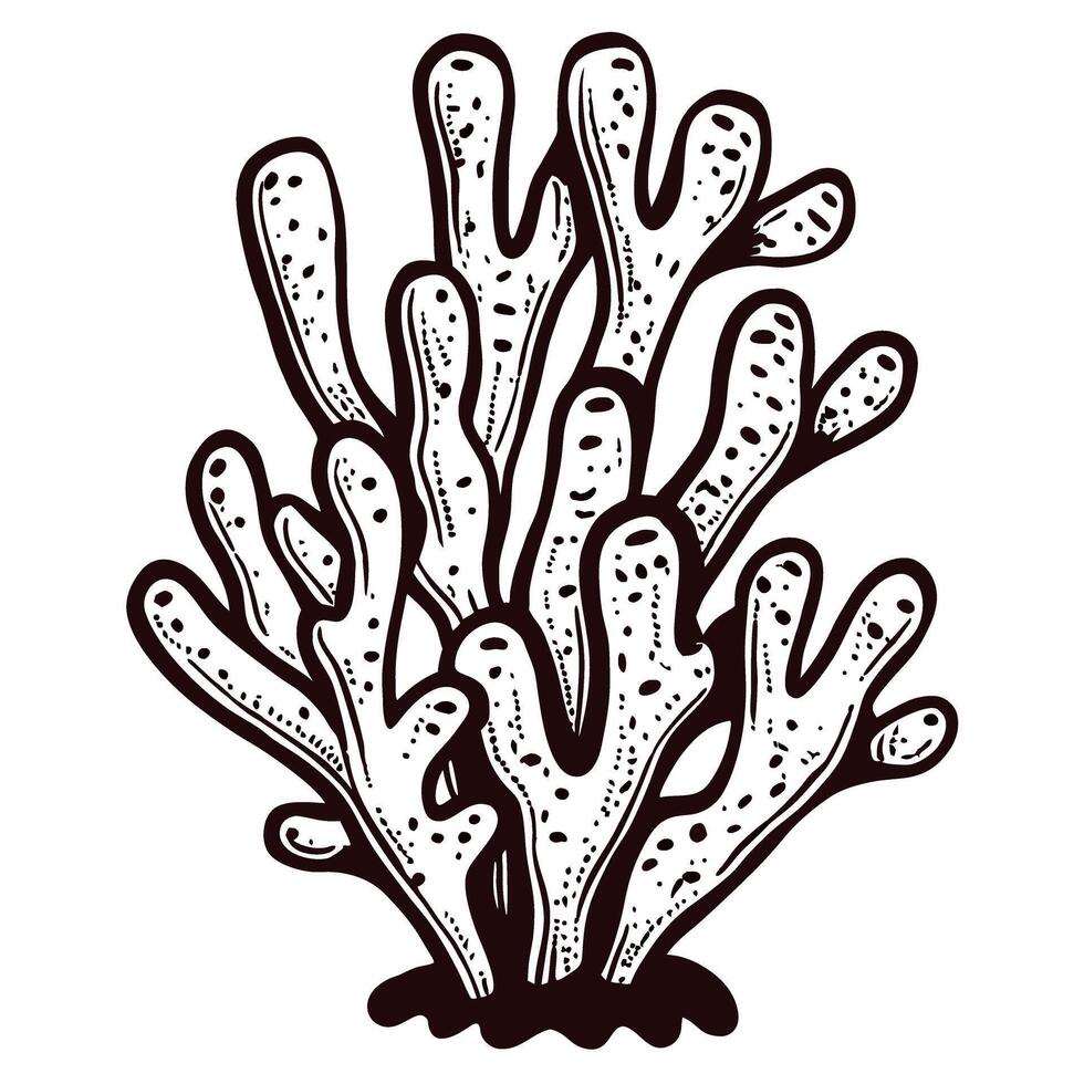Detailed monochrome coral with textured surface patterns vector