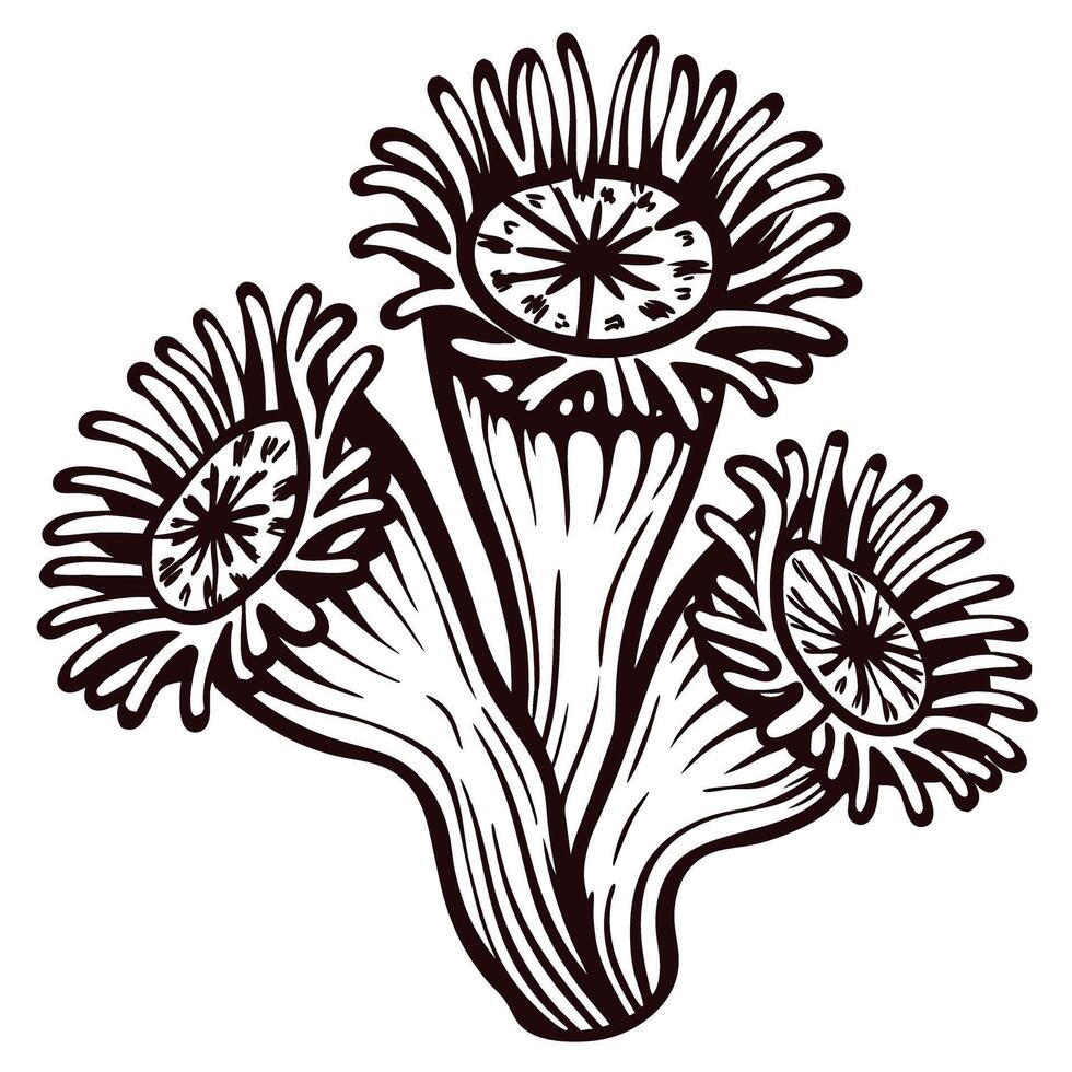 Artistic black and white of three stylized flowers with intricate patterns vector