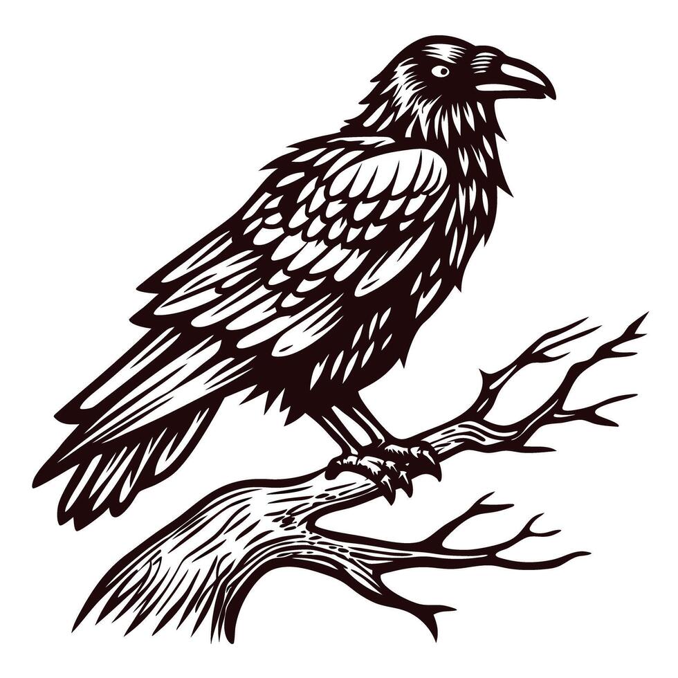 Detailed of a raven perched on a branch vector
