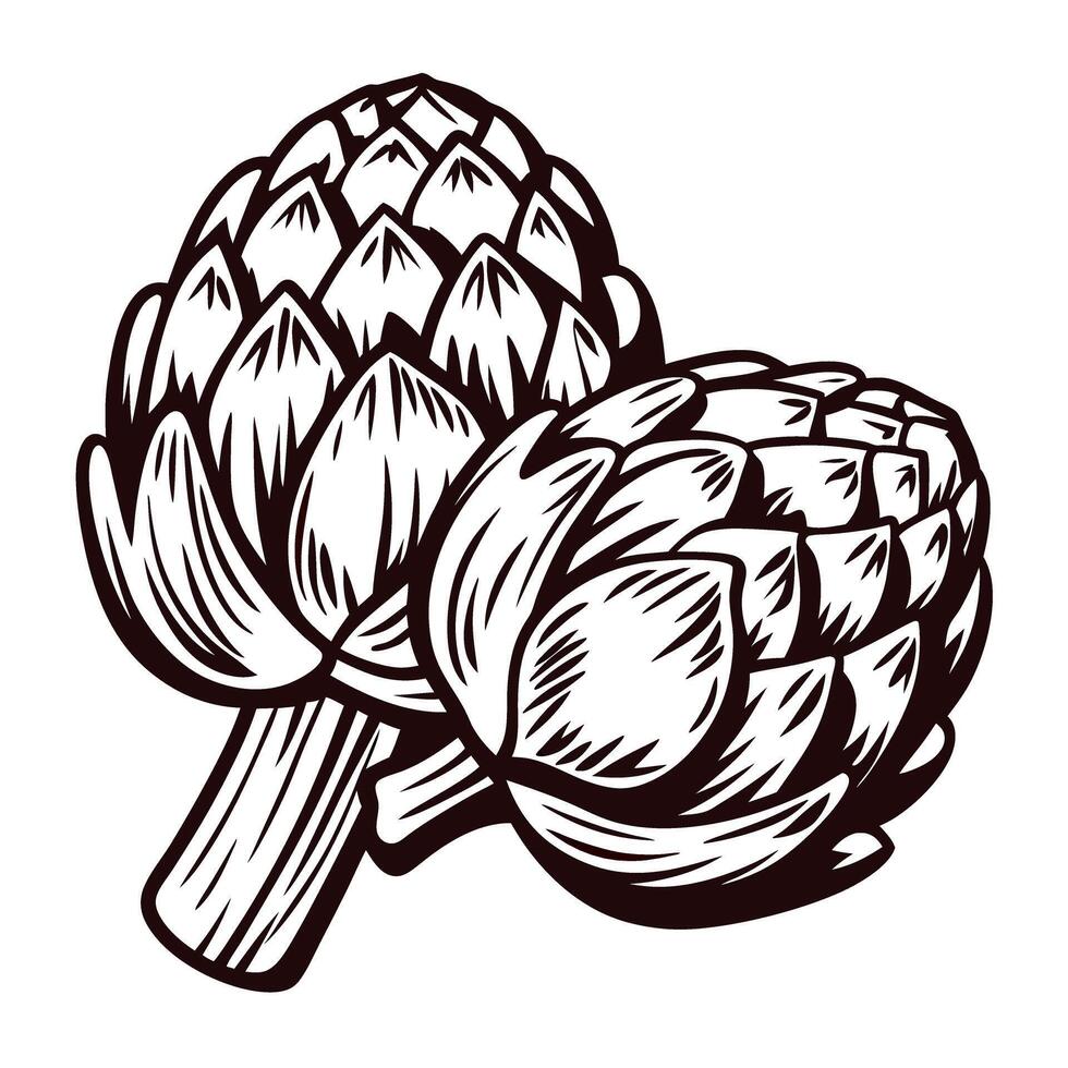 Detailed black and white artichokes in vintage vector