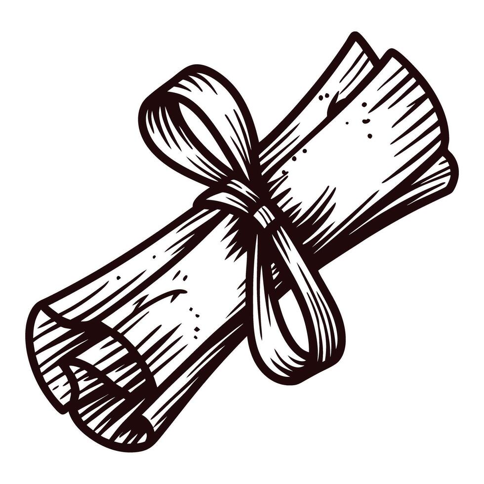 Rolled diploma tied with ribbon symbolizing achievement and education in monochrome sketch vector
