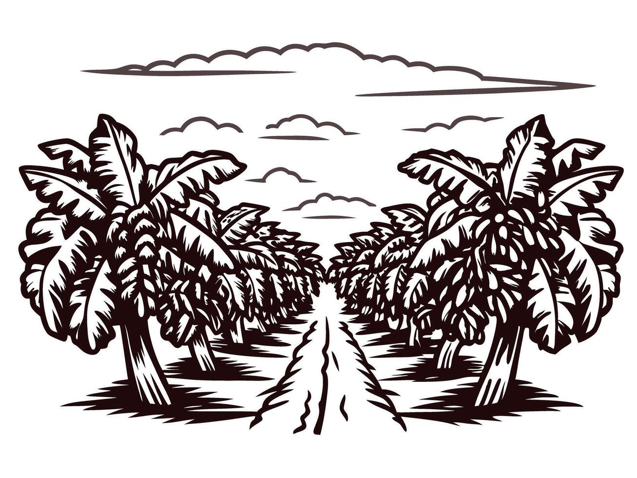Monochrome of a banana plantation with a dirt path under a cloudy sky vector