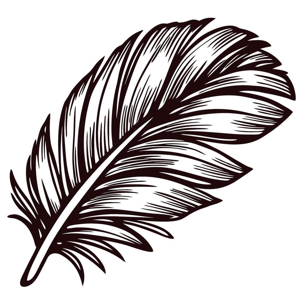 Intricate black and white feather drawing on white background vector