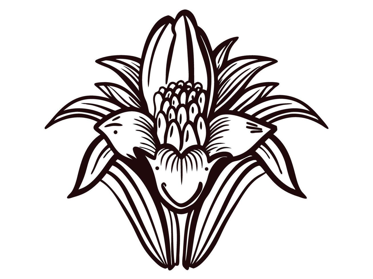Intricate black and white banana flower with detailed leaf patterns vector