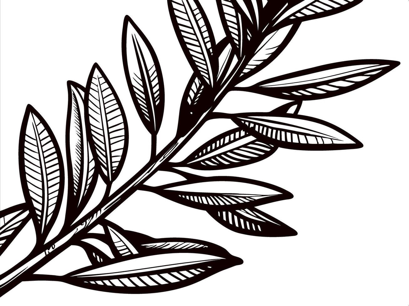 Black and white botanical of a leafy branch with detailed veins vector