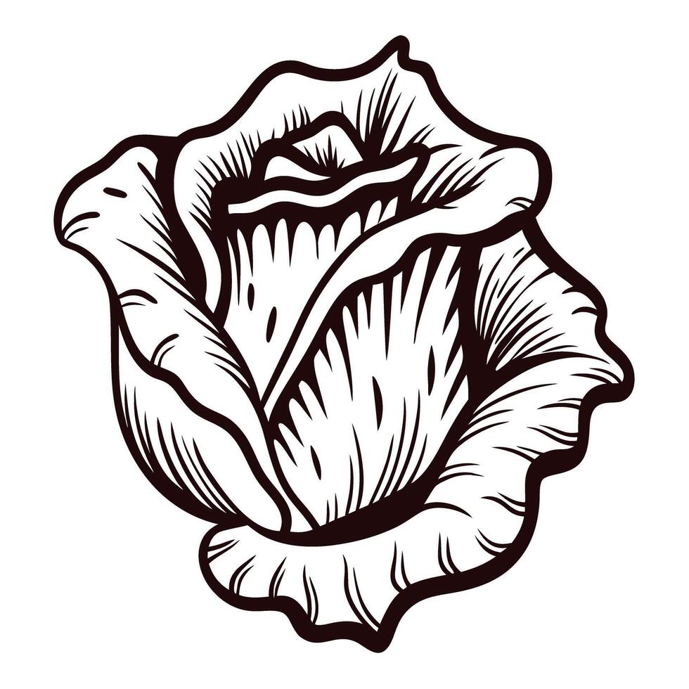 Detailed black and white rose with curved petals in vintage artistic vector