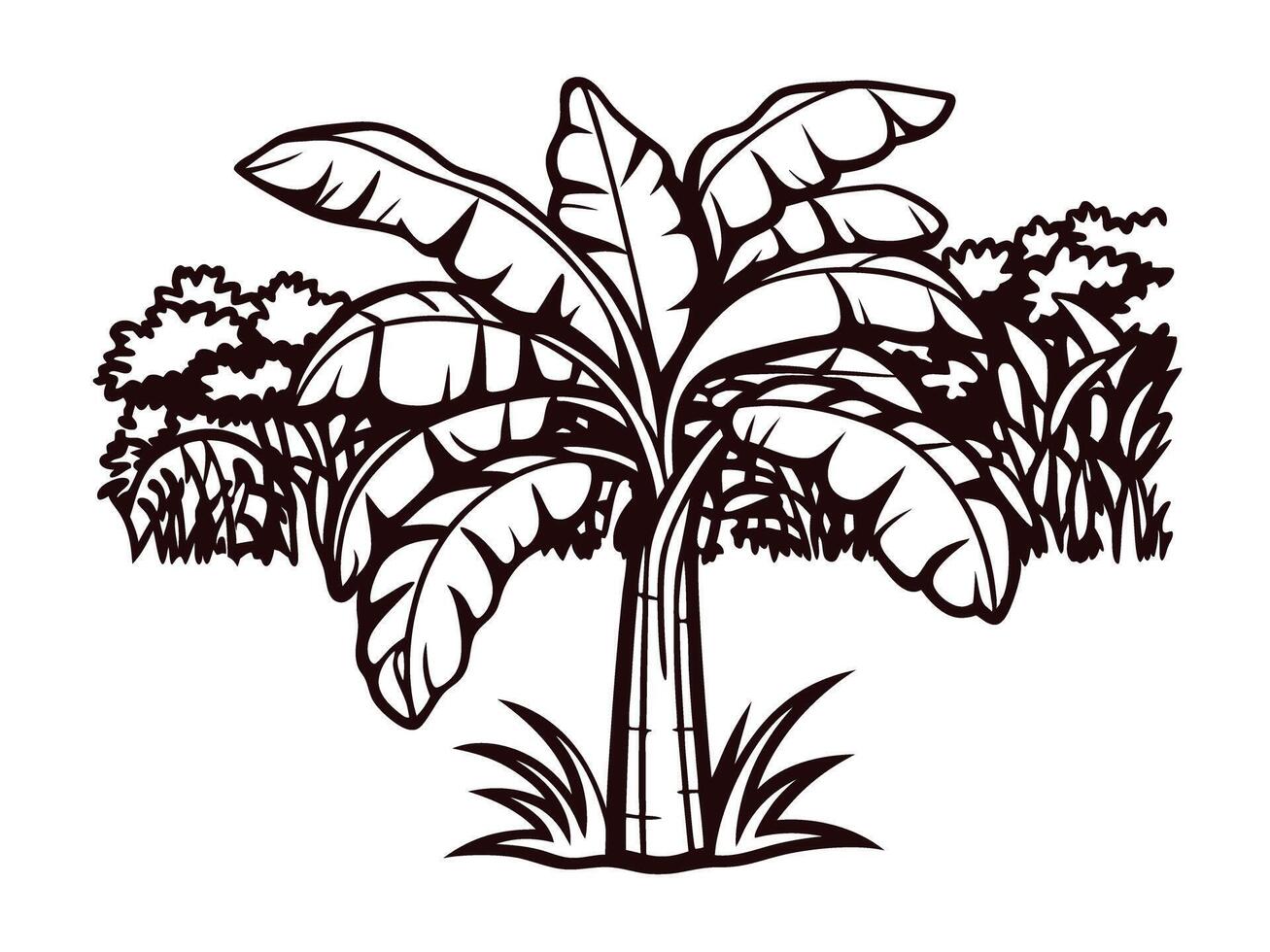 Tropical banana tree amidst dense jungle foliage vector