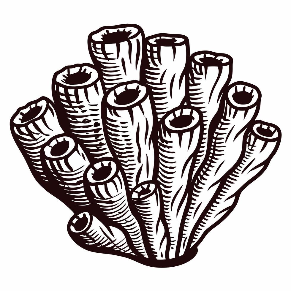 Detailed of a coral reef structure with tube like formations vector