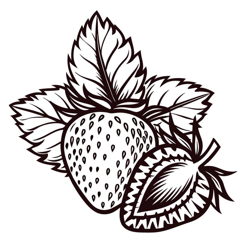 Hand drawn strawberry with leaves in black and white line art design vector
