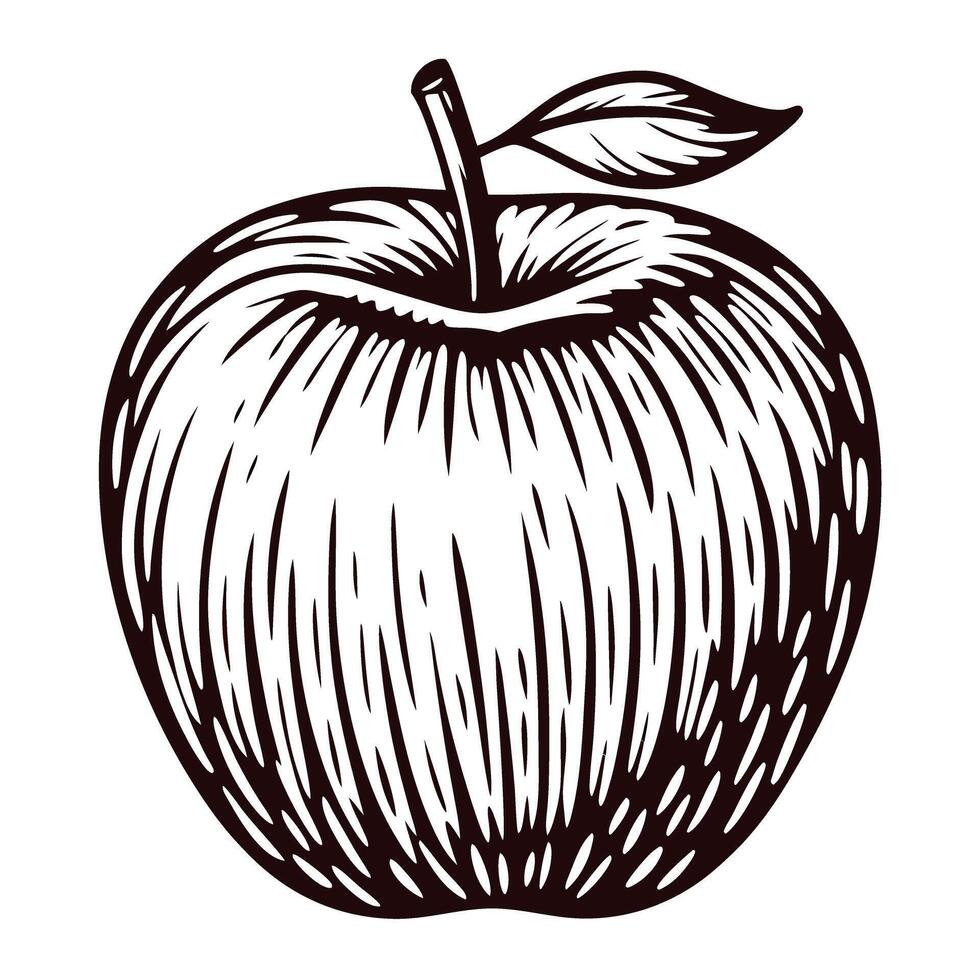 Black and white of a detailed apple with leaf in line art vector