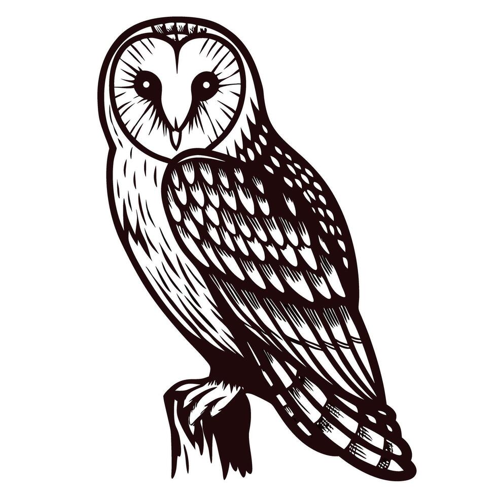 Detailed black and white barn owl perched on a branch vector