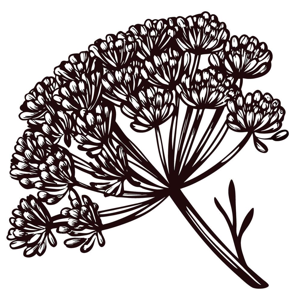 Detailed botanical of flowering plant with intricate bloom patterns vector