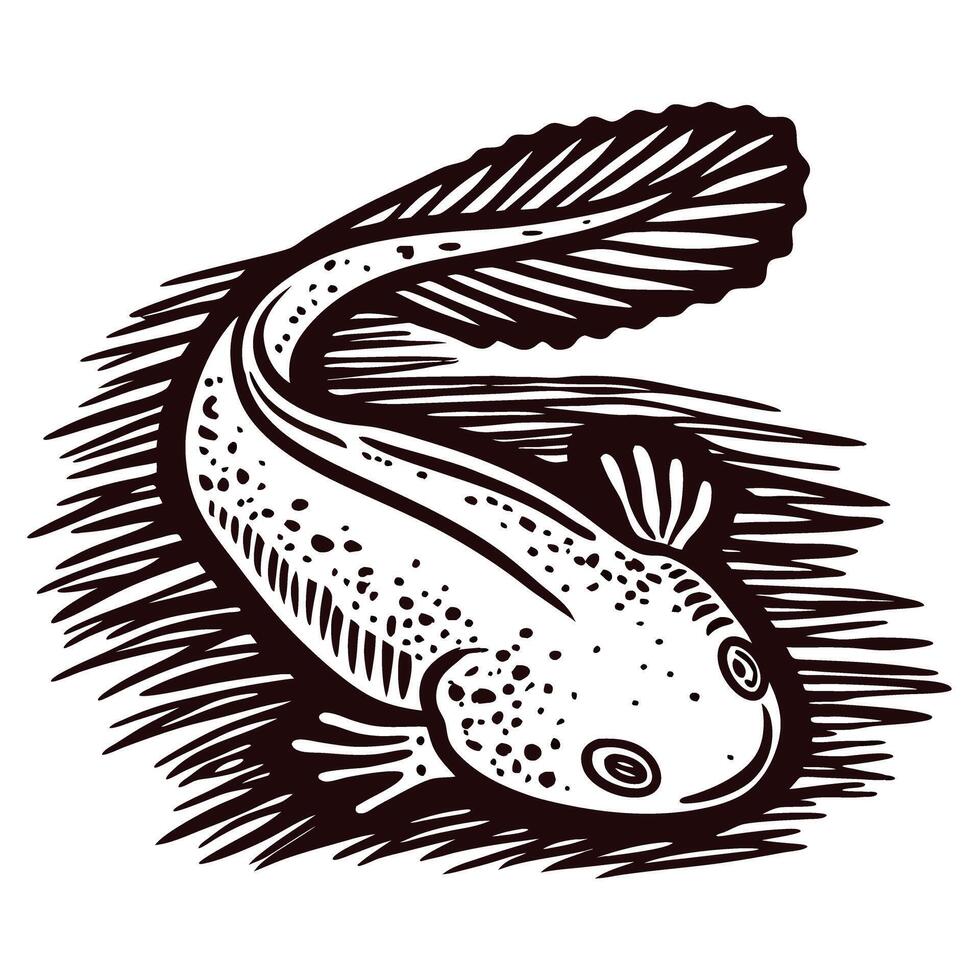 Detailed of axolotl swimming with grace in black and white design vector
