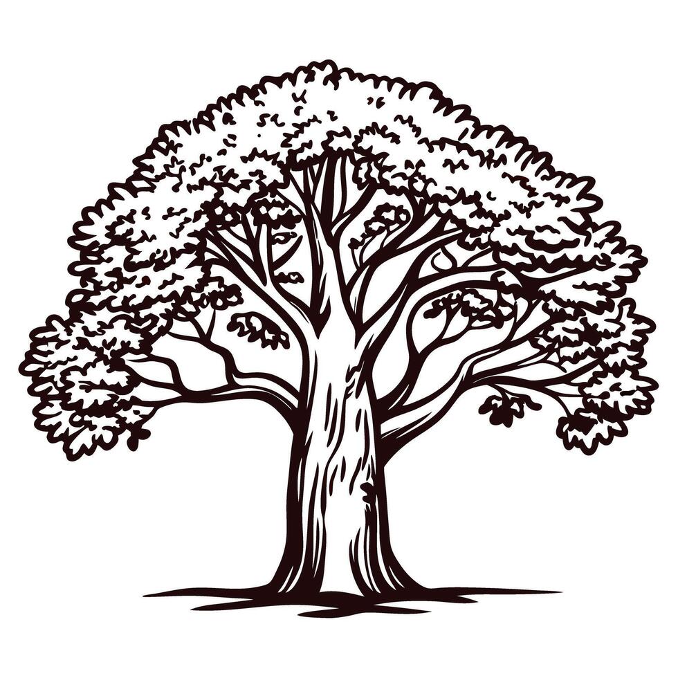 Detailed of a majestic tree with sprawling branches and dense foliage in monochrome art vector