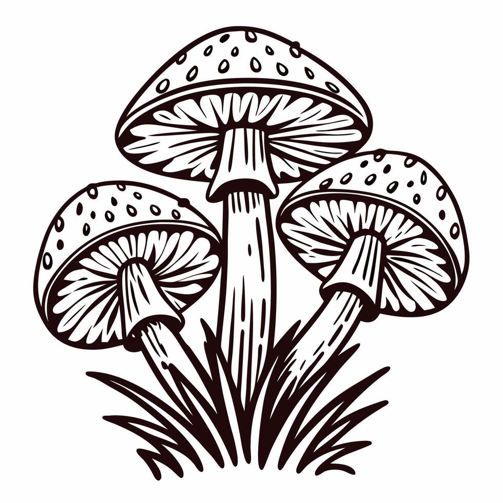 Detailed line art of three mushrooms in natural with grass elements vector