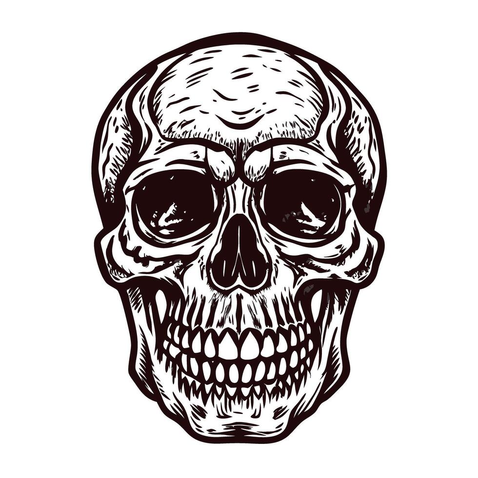 Detailed monochrome skull drawing with intricate patterns and shadows on white background vector