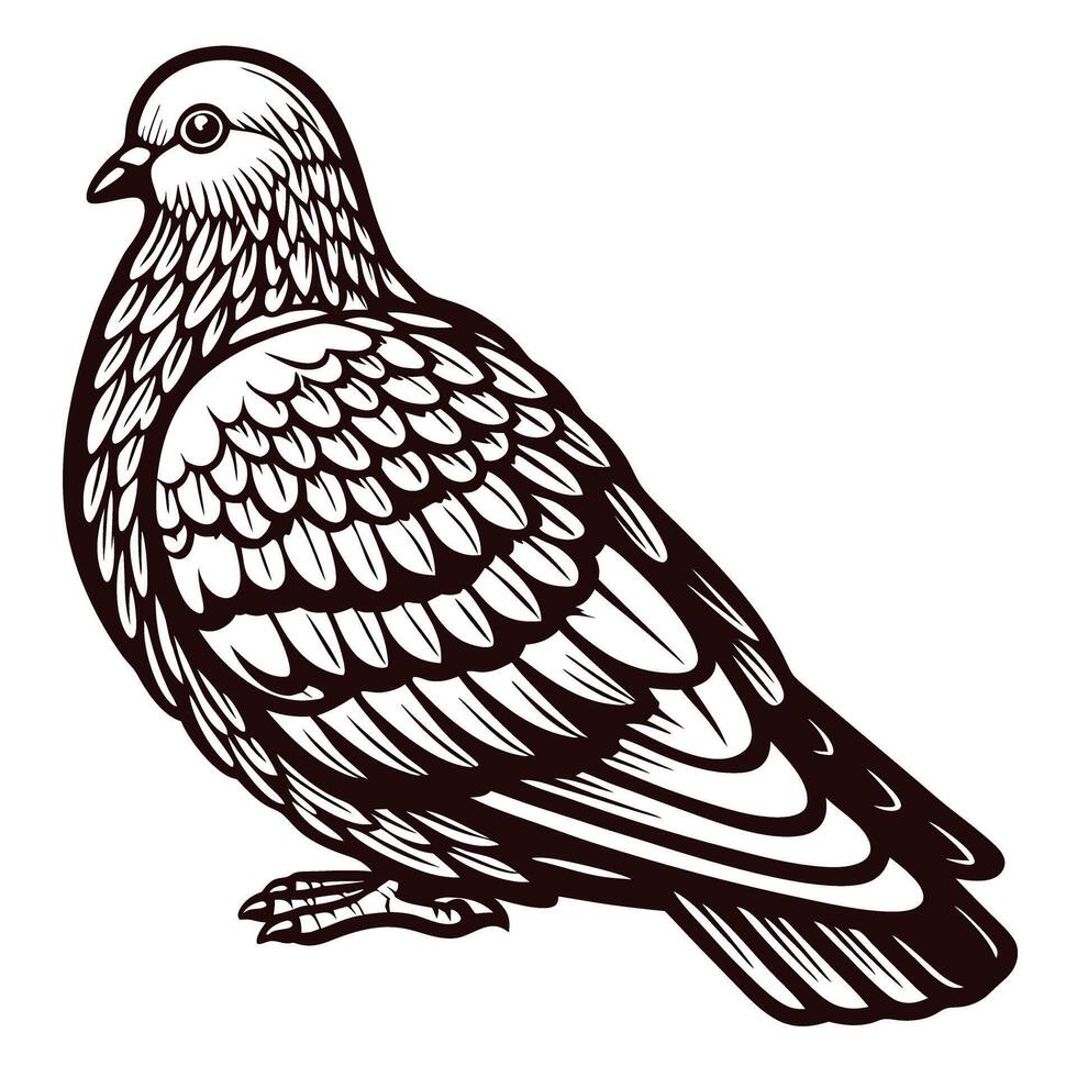Intricate line art of a pigeon facing left with detailed feather patterns and graceful stance vector