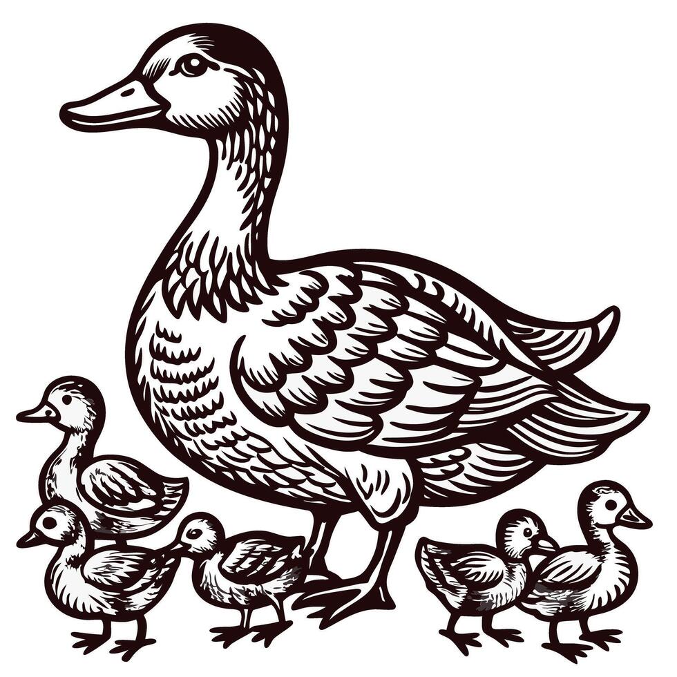 Mother duck with ducklings in detailed hand drawn showing nature and wildlife vector