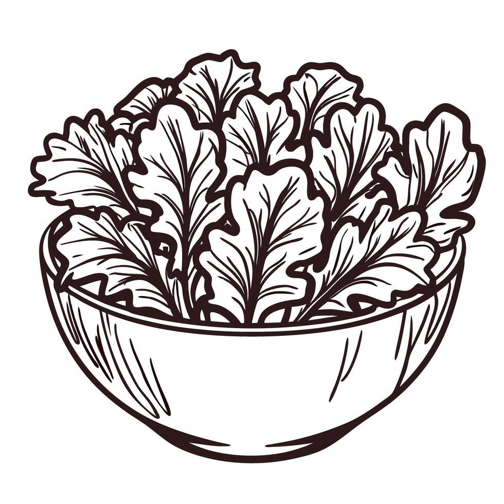 Bowl of fresh leafy greens organic lettuce in a hand drawn vector