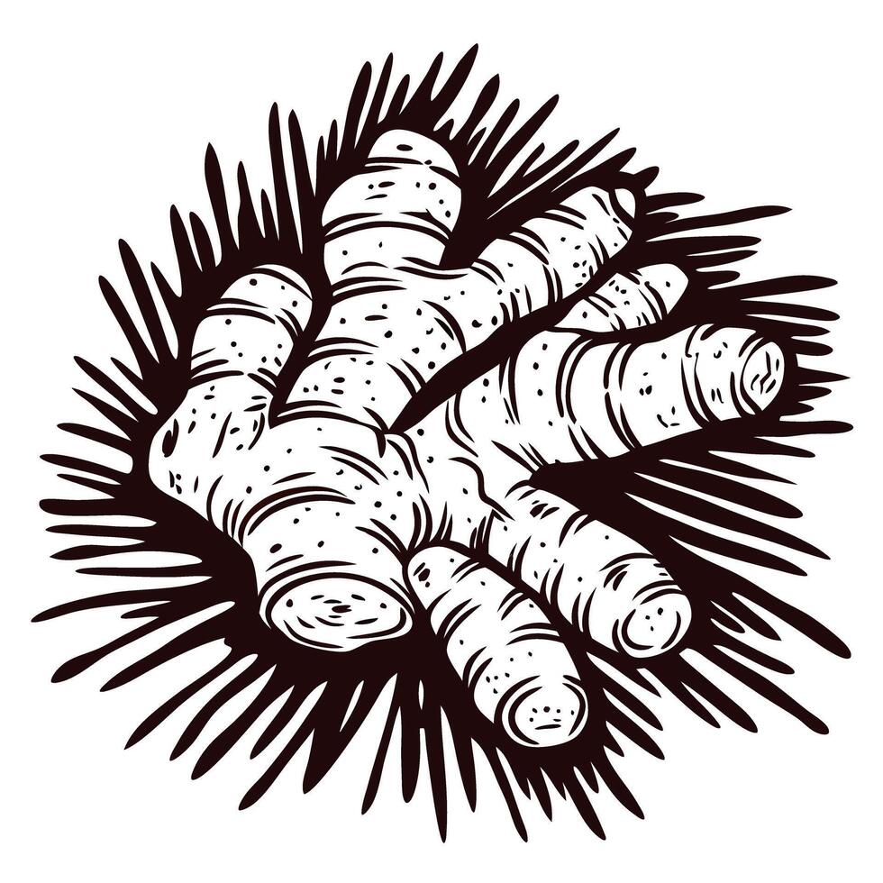 of a creepy hand emerging from darkness with claws and sharp shadows vector