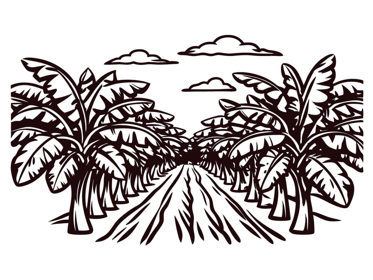 Scenic banana plantation landscape with rows of trees under partly cloudy sky vector