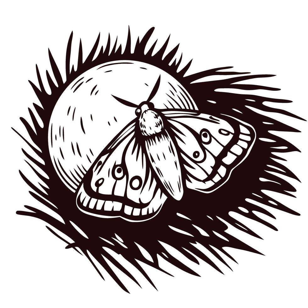 Intricate black and white moth resting on circular orb with radiating lines vector