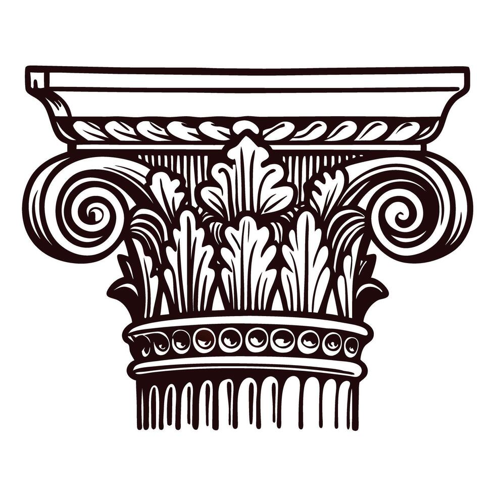 Intricate classical corinthian column capital drawing with detailed acanthus leaves and scrollwork vector