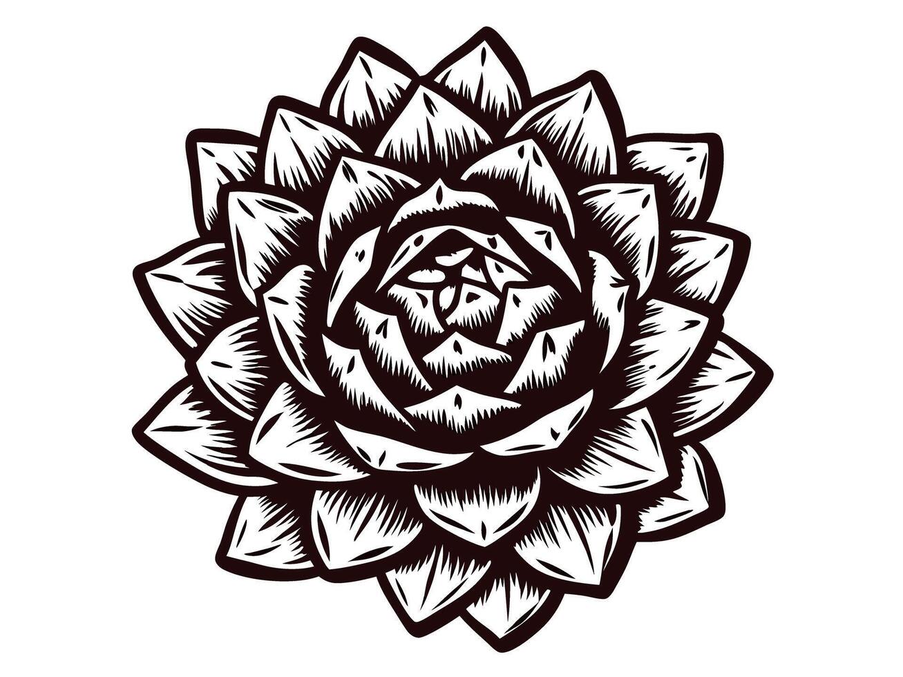 Intricate black and white succulent showcasing vibrant leaf patterns and geometric symmetry vector