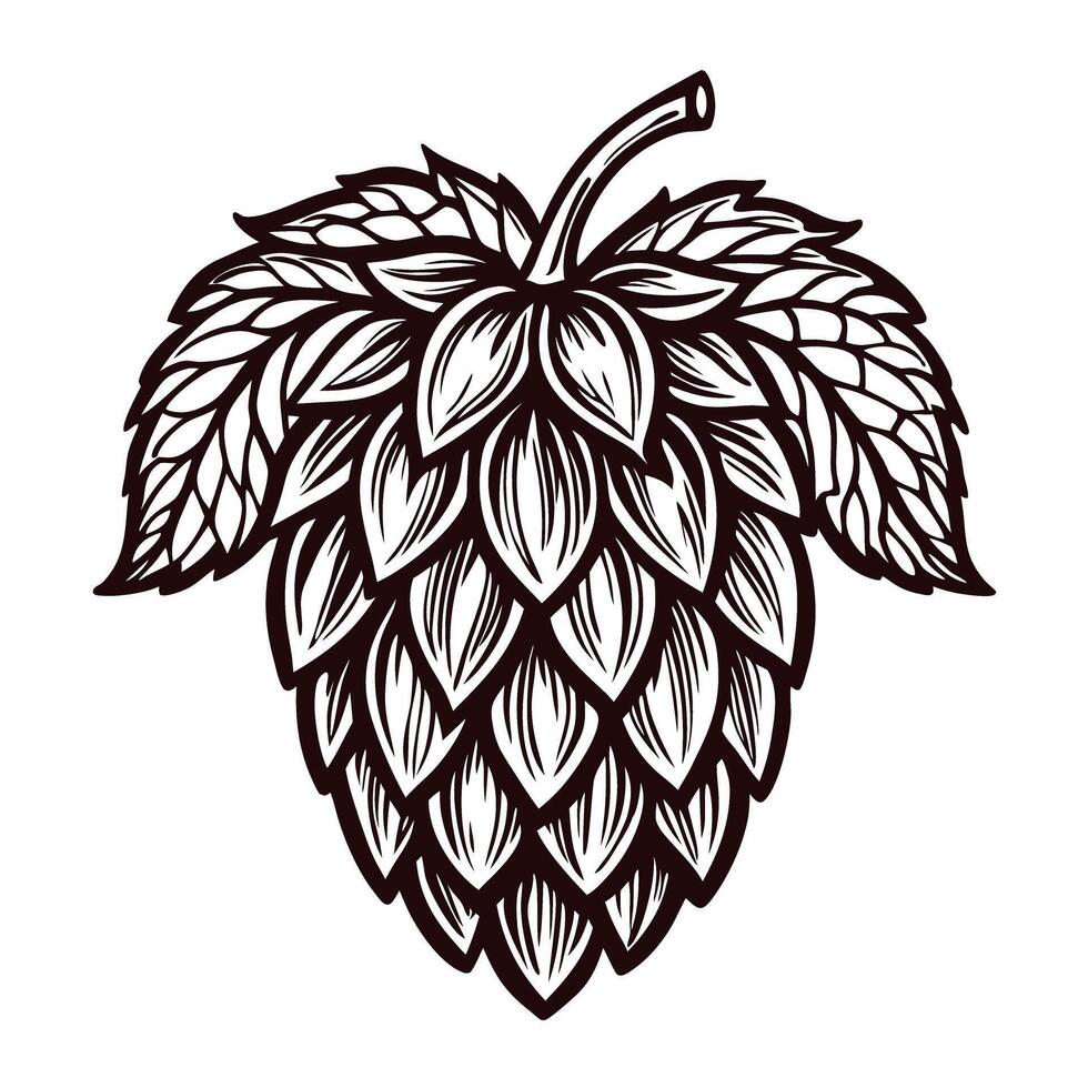 Detailed line art of hop cone with leaves for brewing and botanical design vector