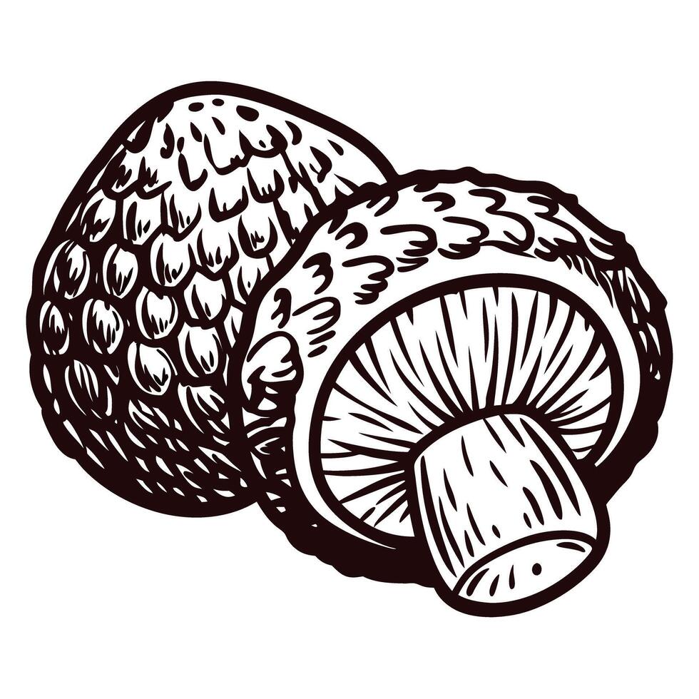 of two whole mushrooms with textured caps and stems in black and white design vector