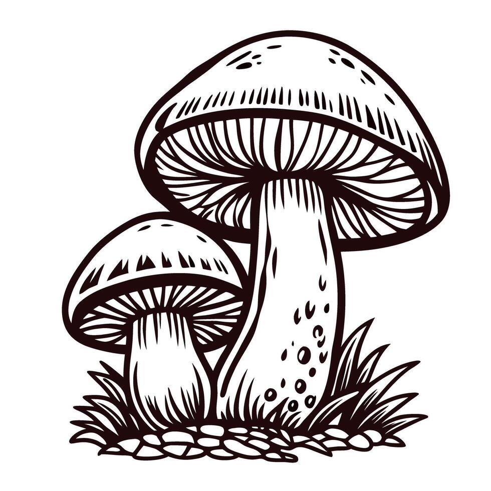 Monochrome of two detailed mushrooms with textured patterns and natural elements vector