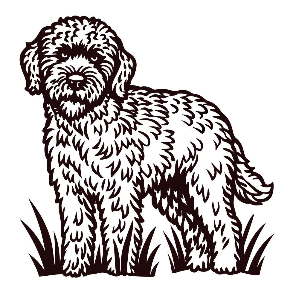 of a fluffy dog standing on grass with a curious expression vector