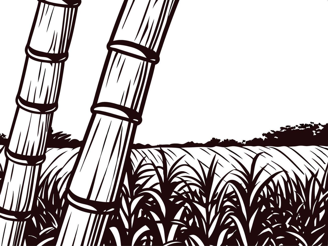 Sugarcane fields and bamboo stalks in a rural landscape vector