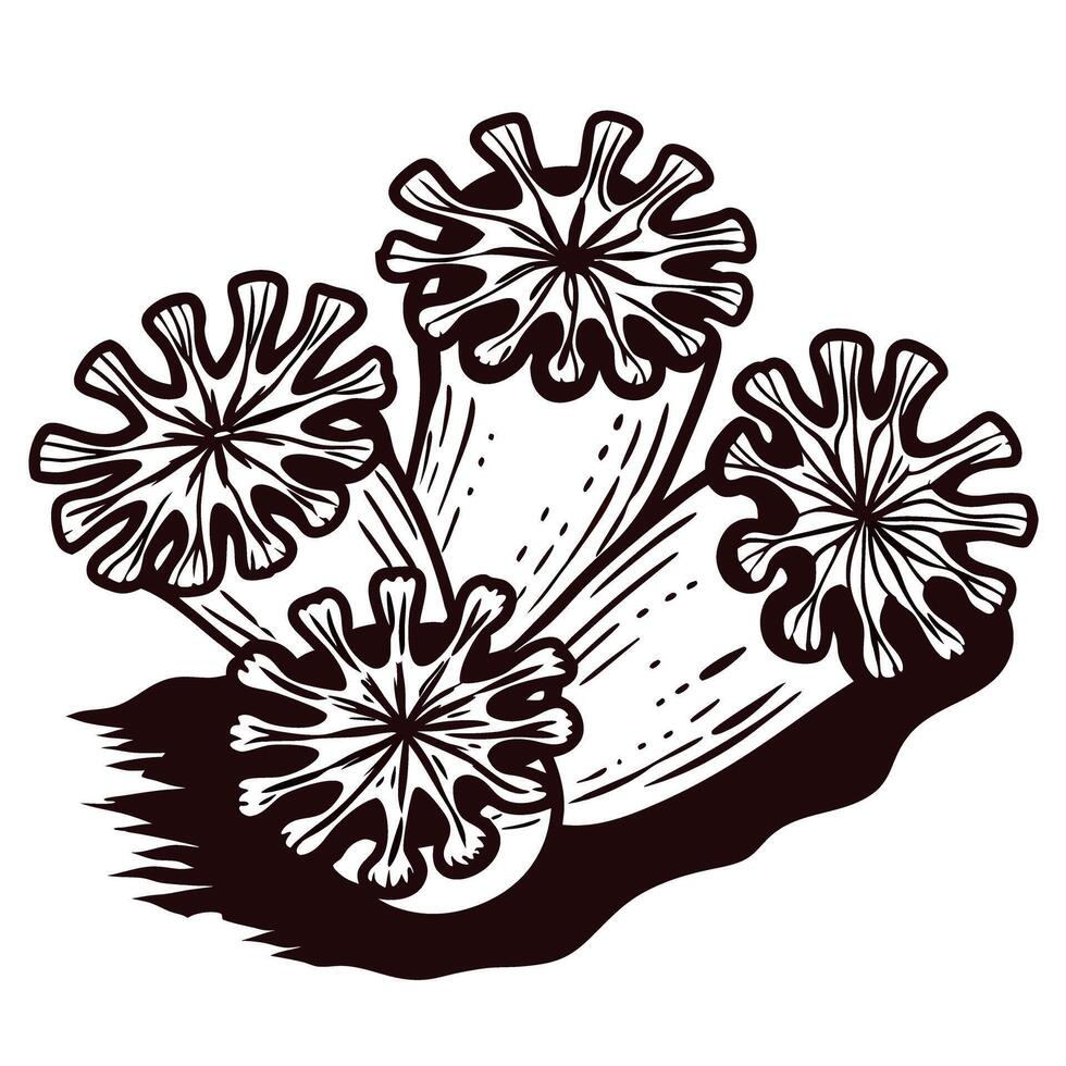 Detailed black and white of stylized mushrooms with intricate patterns vector