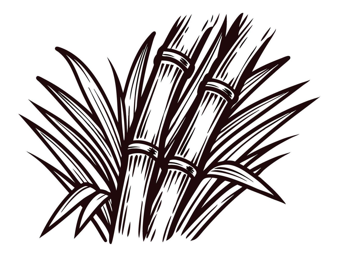 Detailed bamboo with leaves in black and white design vector
