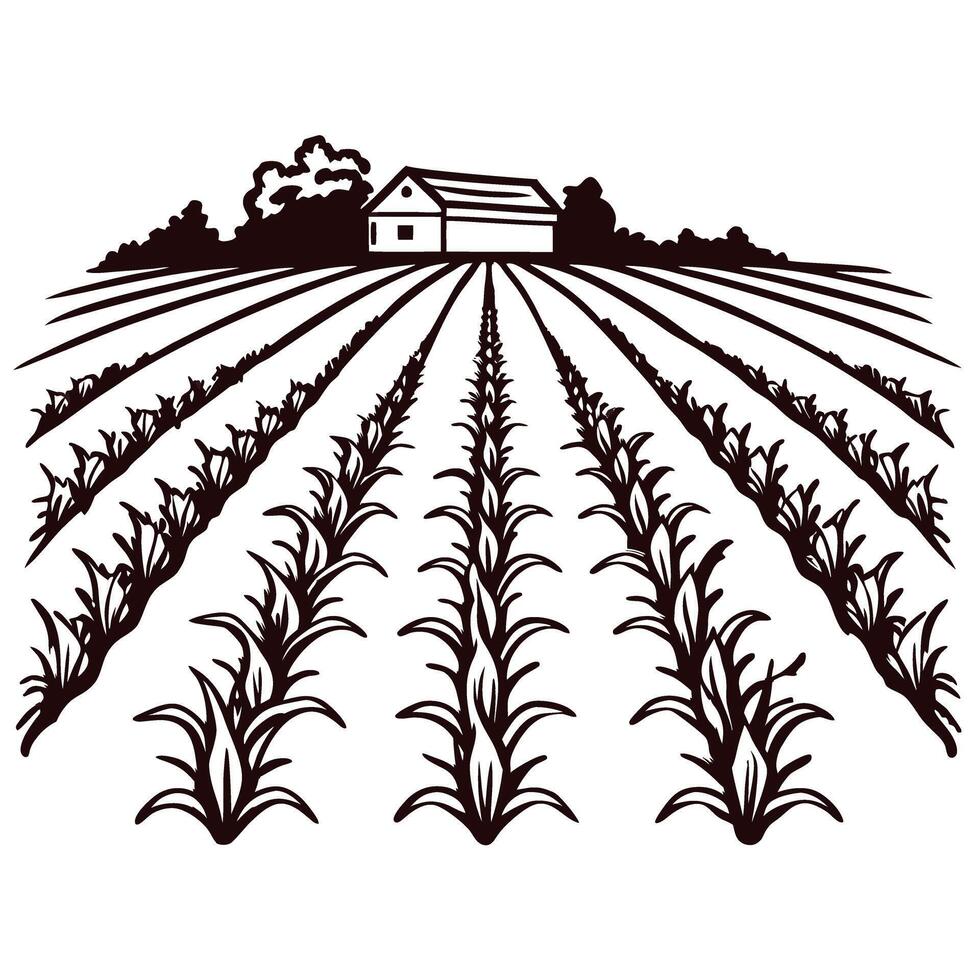 Rural farmland with rows of crops and barn in black and white silhouette vector