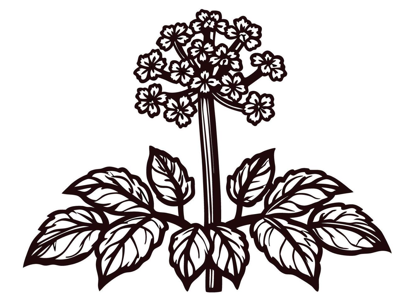Botanical of a flowering plant with detailed leaves and blossoms vector
