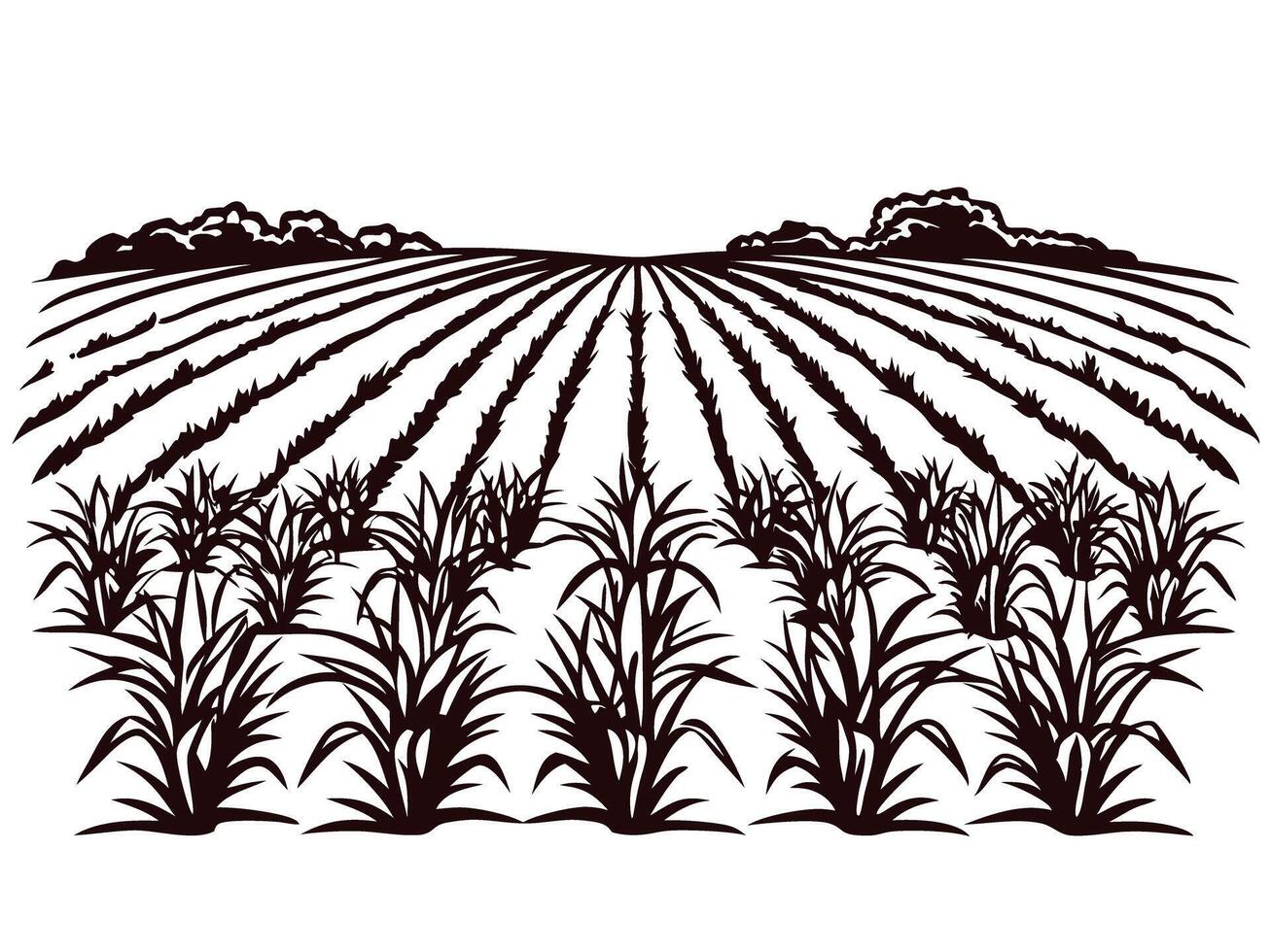 Agricultural field with rows of crops and distant trees in black and white design vector