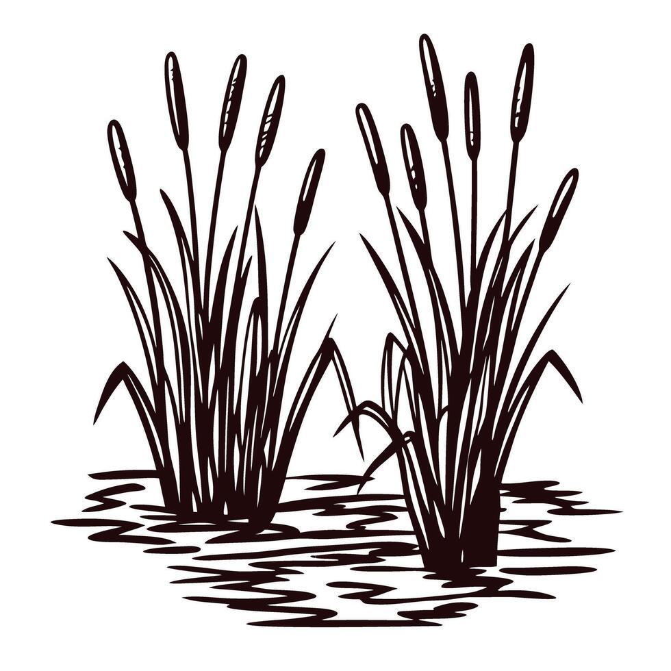 Silhouette of cattail plants growing by a pond in a minimalist nature design vector