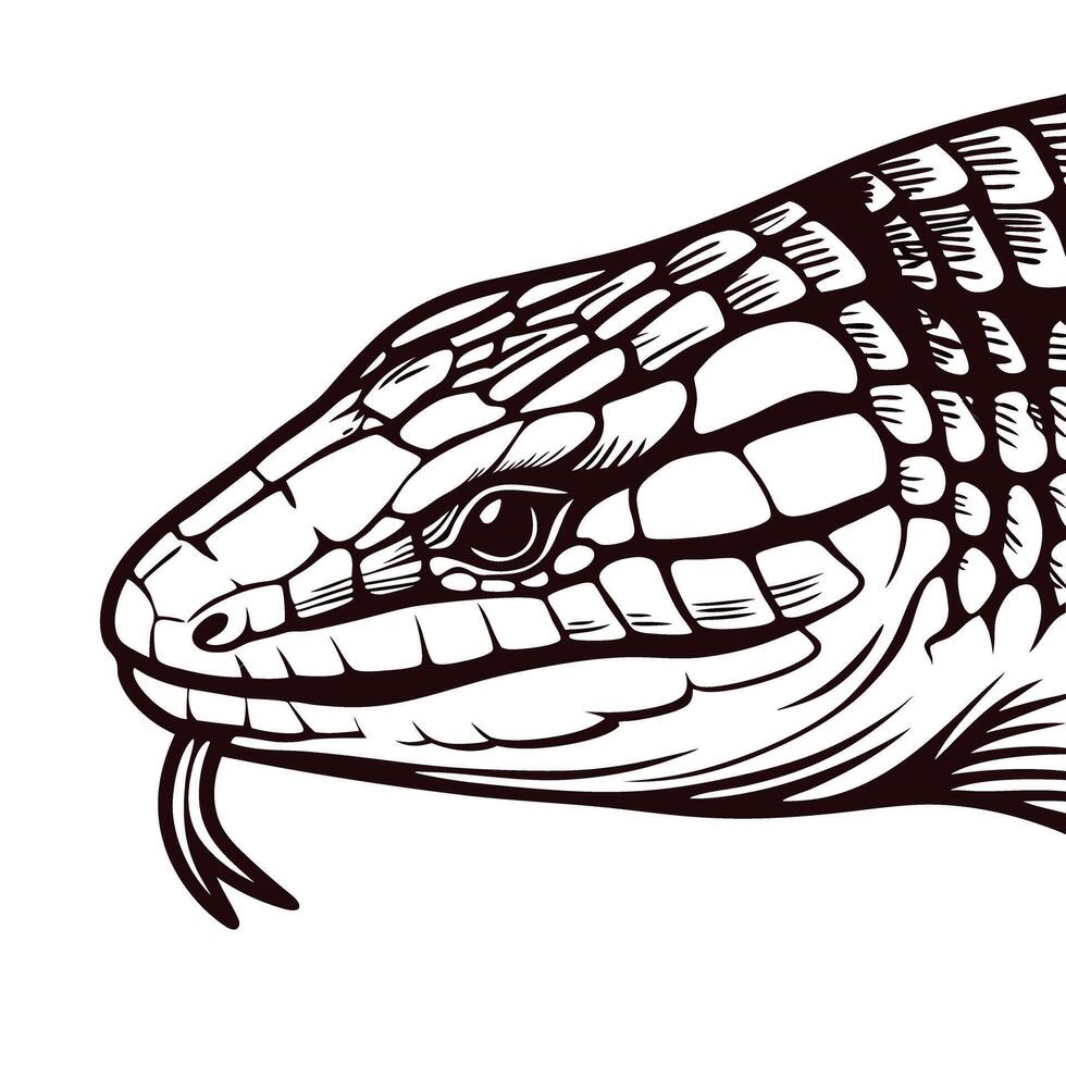 Detailed of a lizard with scaled skin and forked tongue in profile view vector