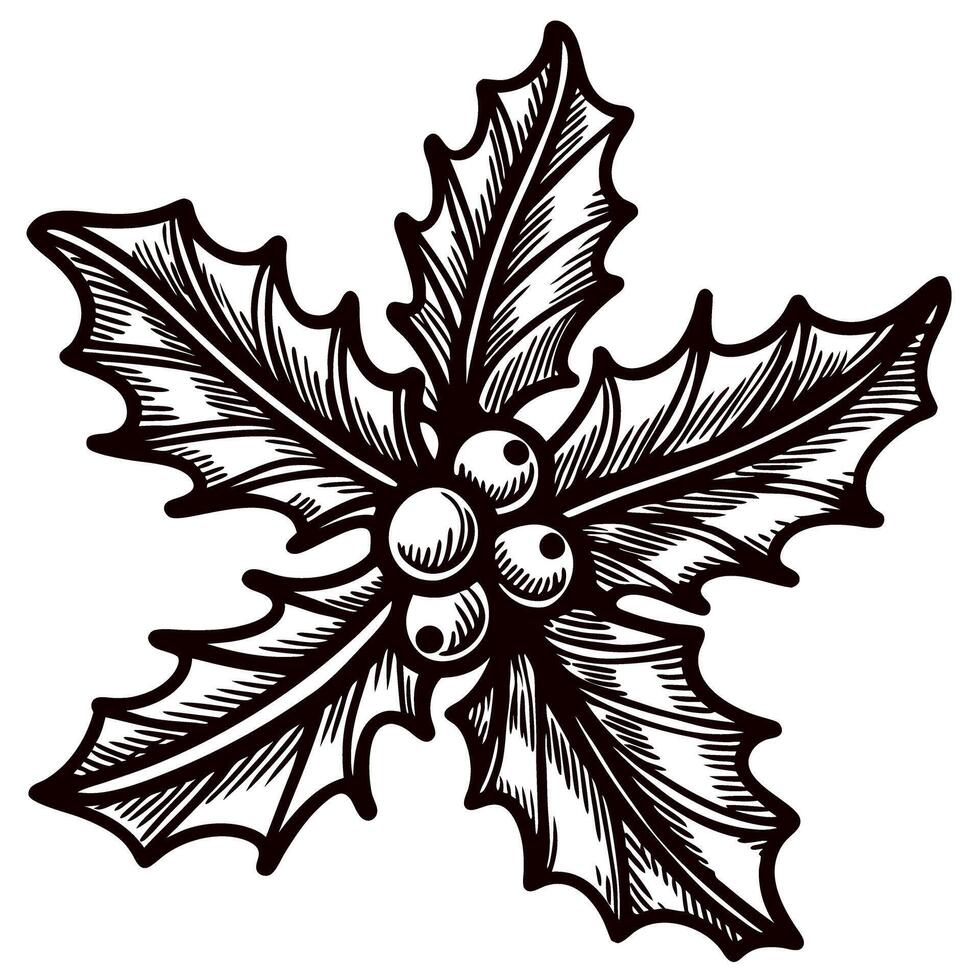 Intricate holly leaves and berries in black and white design vector