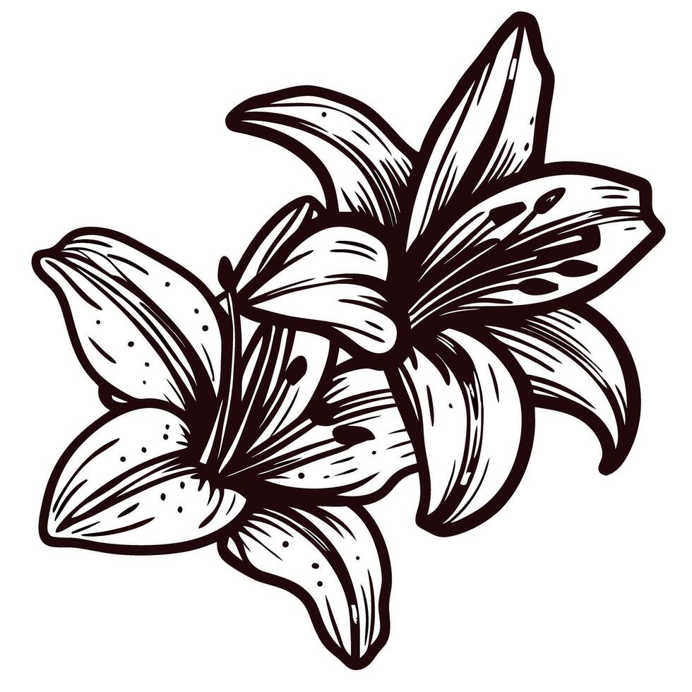 Detailed line art of blooming lilies in monochrome design vector