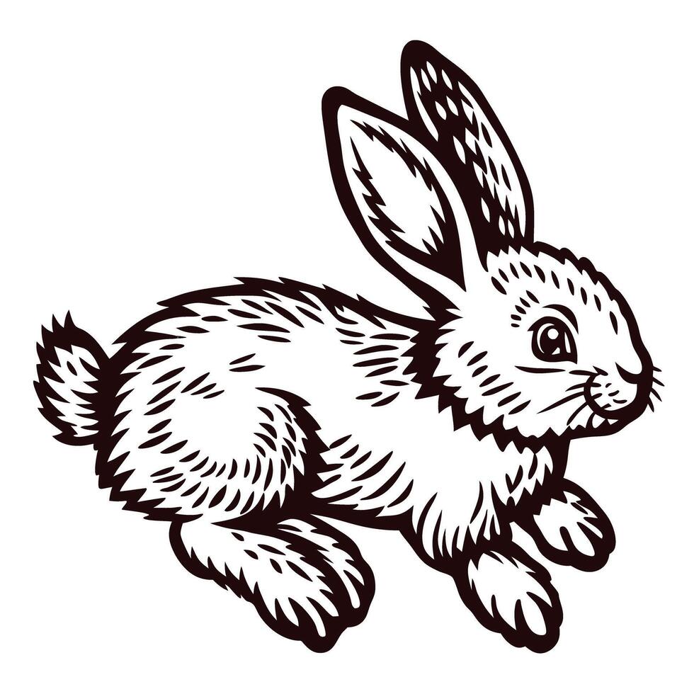 Detailed black and white of a rabbit in motion vector