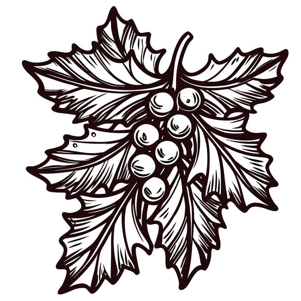 Detailed botanical of grape leaves and clusters in monochrome design vector