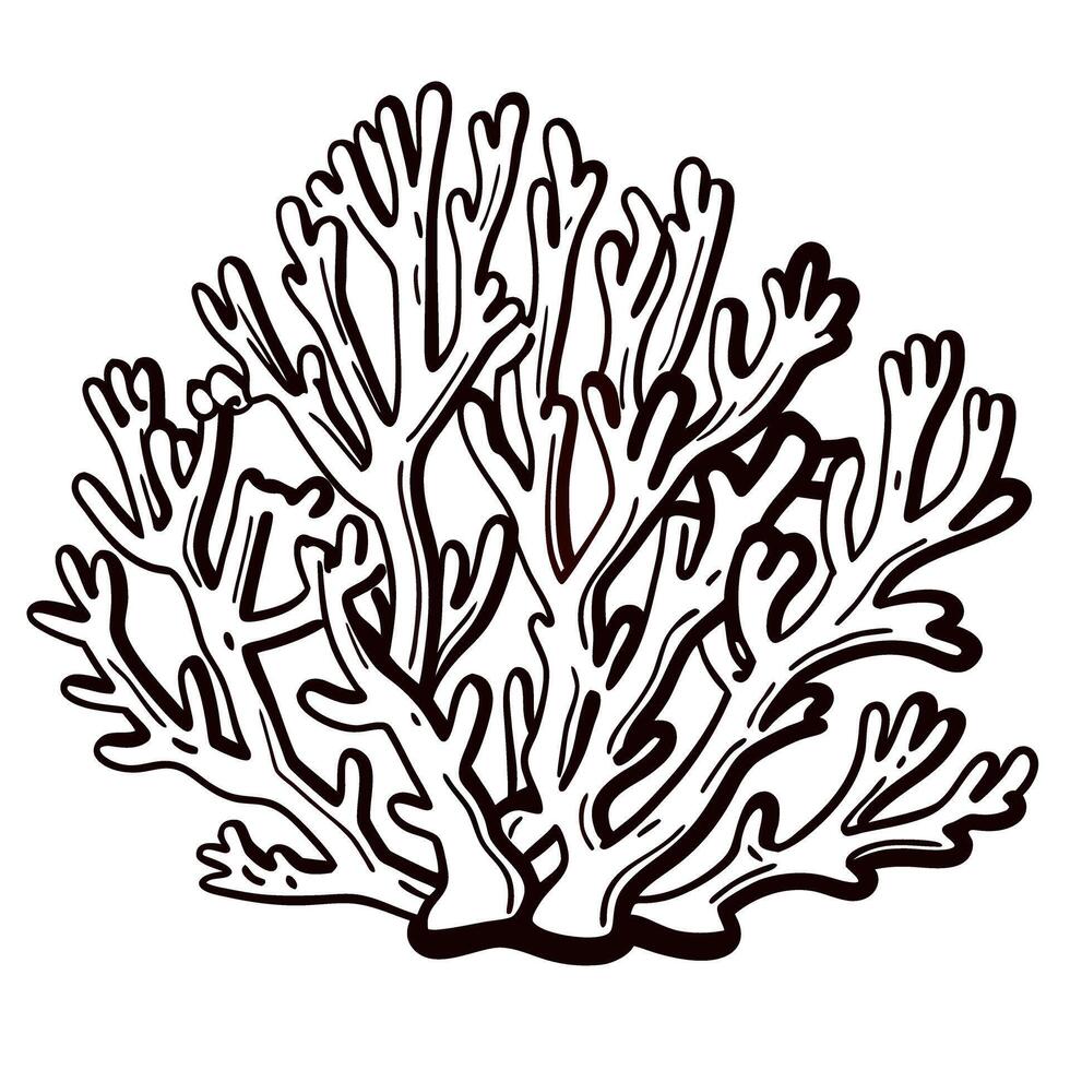 Intricate coral line art highlighting marine biodiversity in ocean ecosystems vector