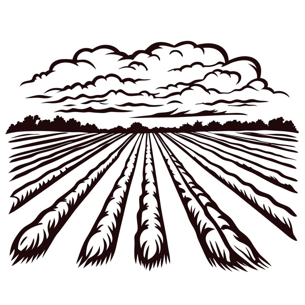 Rural landscape with plowed fields and cloudy sky in black and white vector