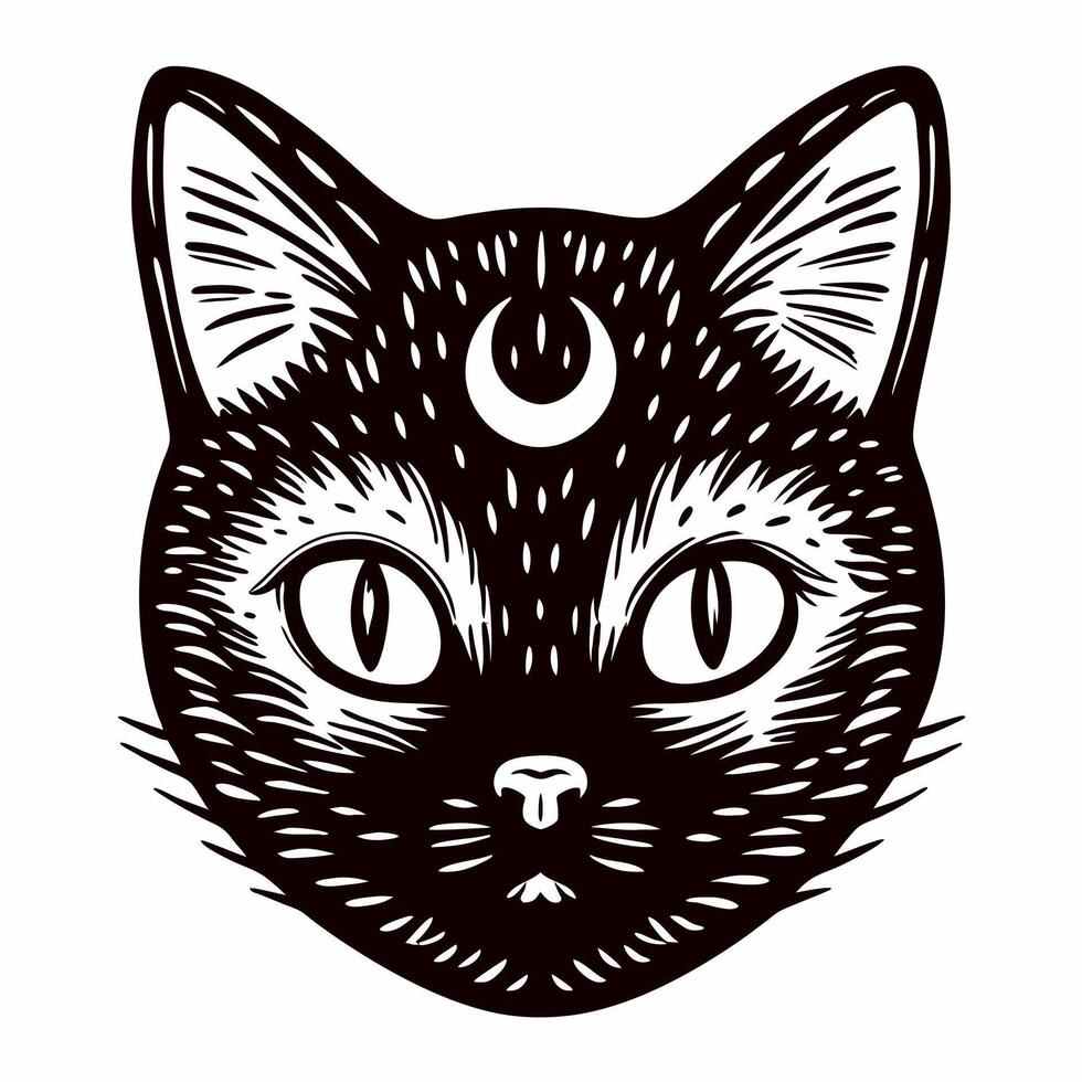Black cat with crescent moon on forehead in detailed vector