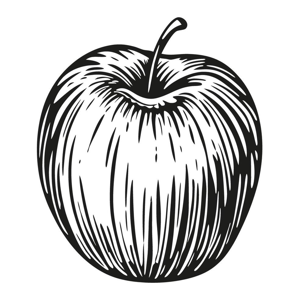 Black and white of a detailed apple drawing with intricate line work vector